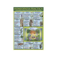Lamina Homeopatia practica (Los policrestos, remedios homeopaticos con mas poder curativo)
