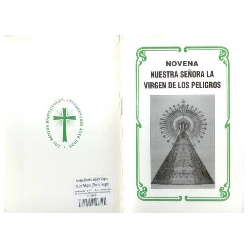 Novena Nuestra Señora Vir