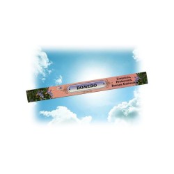 Incienso Oh Romero 10 v