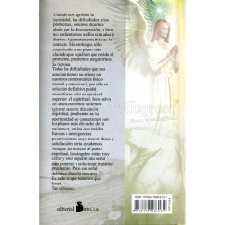LIBRO Angeles Pueden Camb