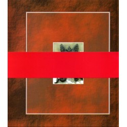 LIBRO Demonios - Salvador