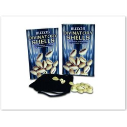 Libro Pendulum (Libro + P