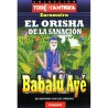 LIBRO Orisha de la Sanaci