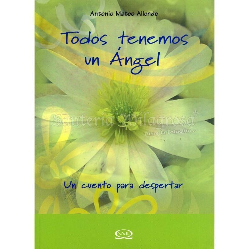 Libro Todos Tenemos un Angel (V&R) (HAS)