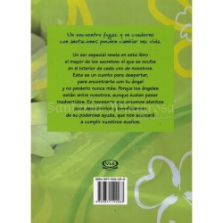 Libro Todos Tenemos un Angel (V&R) (HAS)