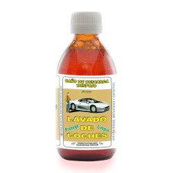 Despojo Lavado de Coche