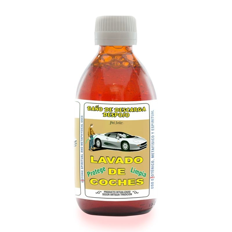 Despojo Lavado de Coche