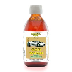 Despojo Lavado de Coche