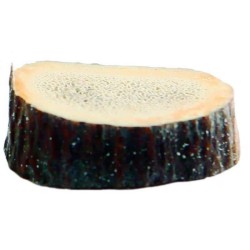 ASTA de Ciervo o Venado (