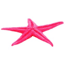 Estrella de Mar (Pequeña)