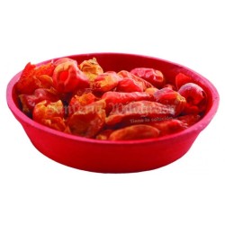 Art. Ritual Pica - Pica o Putapario (Autentico) ·