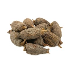 Pienta Guinea Atare Grand