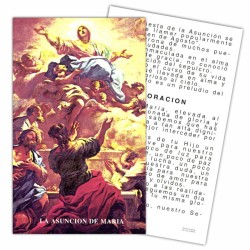 Estampa Asuncion de Maria 7 x 11 cm (P25)