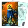 Estampa Inmaculada 7 x 11 cm (P25)
