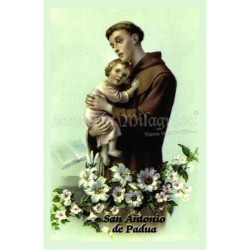 Estampa Antonio de Padua 7 x 11 cm (P25)