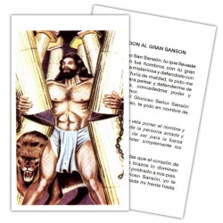 Estampa Sanson 7 x 11 cm (P25)