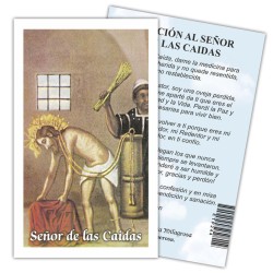 Estampa Sr. de la Caidas 7 x 11 cm (P25)