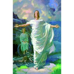 Estampa Camisa 7 x 11 cm (P25)