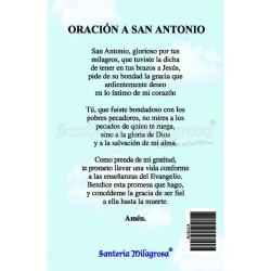 Estampa Antonio de Padua (de Pie) 7 x 11 cm (P25)