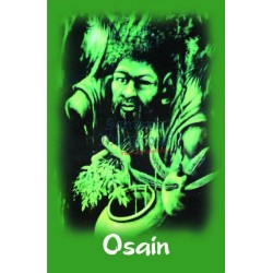 Estampa Osain 7 x 11 cm (P25)