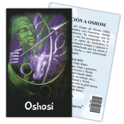 ESTAMPAS Ochosi 7 x 11 cm