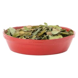 HIERBA Iwereyeye (Wereyeye)