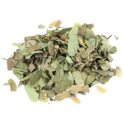 HIERBA Iwereyeye (Wereyeye)