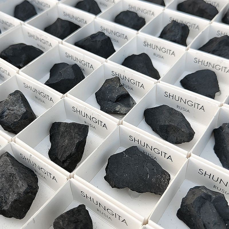 Shungita bruto (unidad)