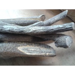 PALO Amansa Guapo (Prod.