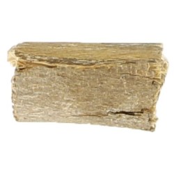 PALO Caimillo (Prod. Ritu