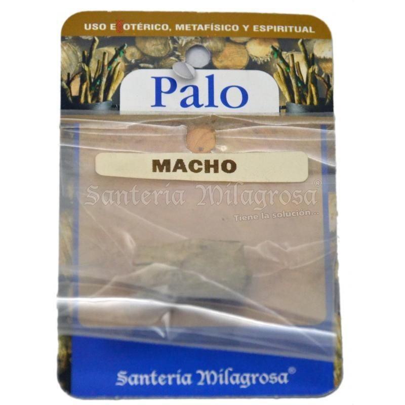 PALO Macho (Prod. Rituali