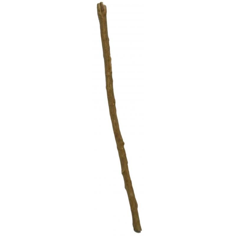 PALO Pensamiento (Prod. R