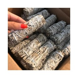 Salvia Blanca atada Calif