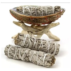 Salvia Blanca atada Calif