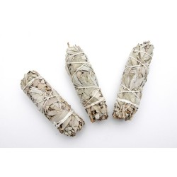 Salvia Blanca atada Calif