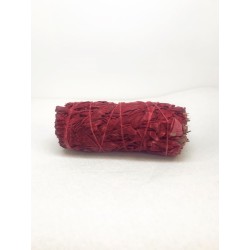 Salvia Manojo Sangre de D