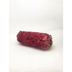 Salvia Manojo Sangre de D