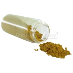 PINTURA de Santo (4 Color