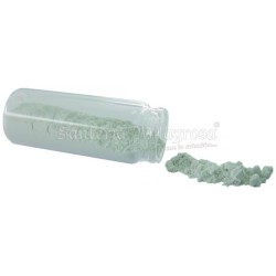 PINTURA de Santo (4 Color