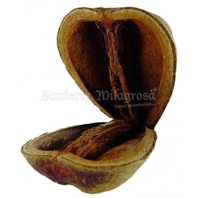 ART. RITUAL Opele Egbere