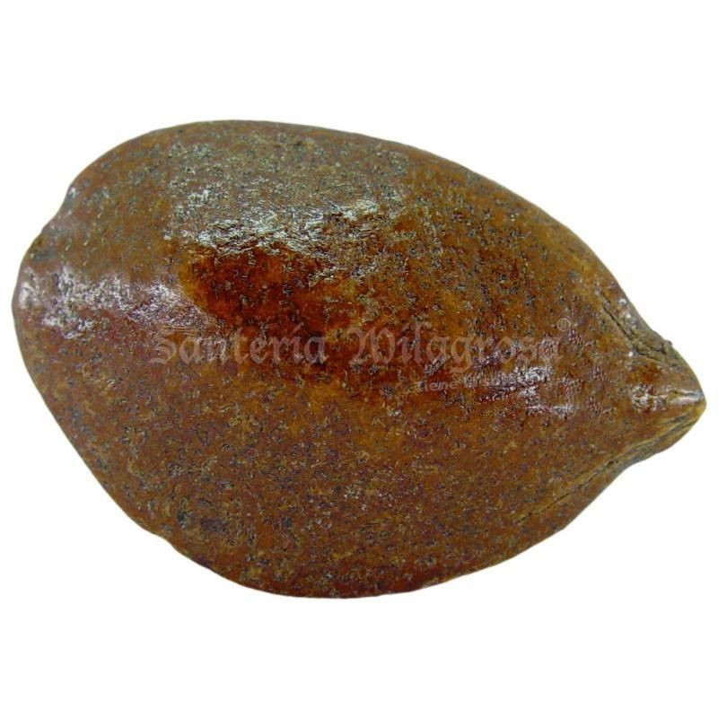 ART. RITUAL BABASU (Unid)