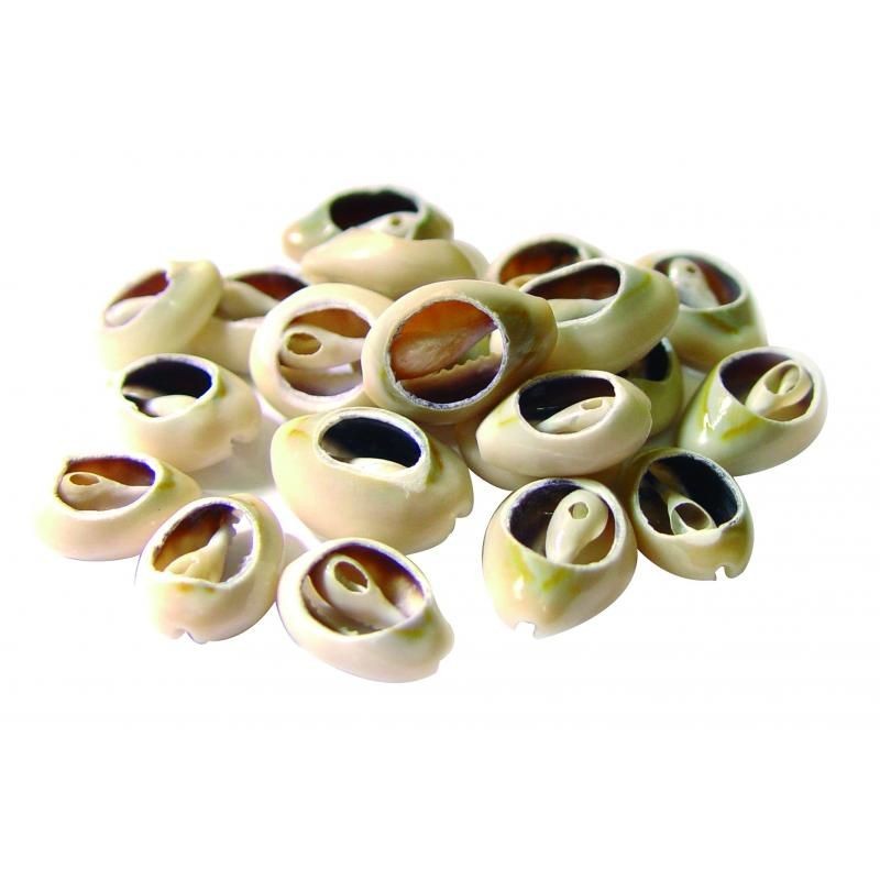 SANTERIA CAURIES (Buzios)