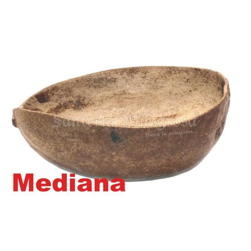 SANT. Jicara Mediana
