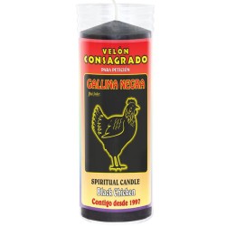 VELON Consagrado Gallina