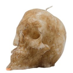 VELA FORMA Cráneo Marfil