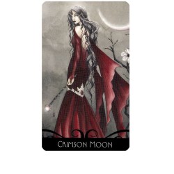 Tarot Enchanted (Set 36 Cartas + Bolsa + Colgante) (En) (Llw)