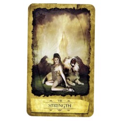 TAROT Mystic Dreamer (Set