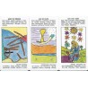 Tarot Starter (Printed in Italy) (EN) (USG)