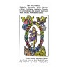 Tarot Starter (Printed in Italy) (EN) (USG)