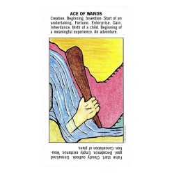 Tarot Starter (Printed in Italy) (EN) (USG)